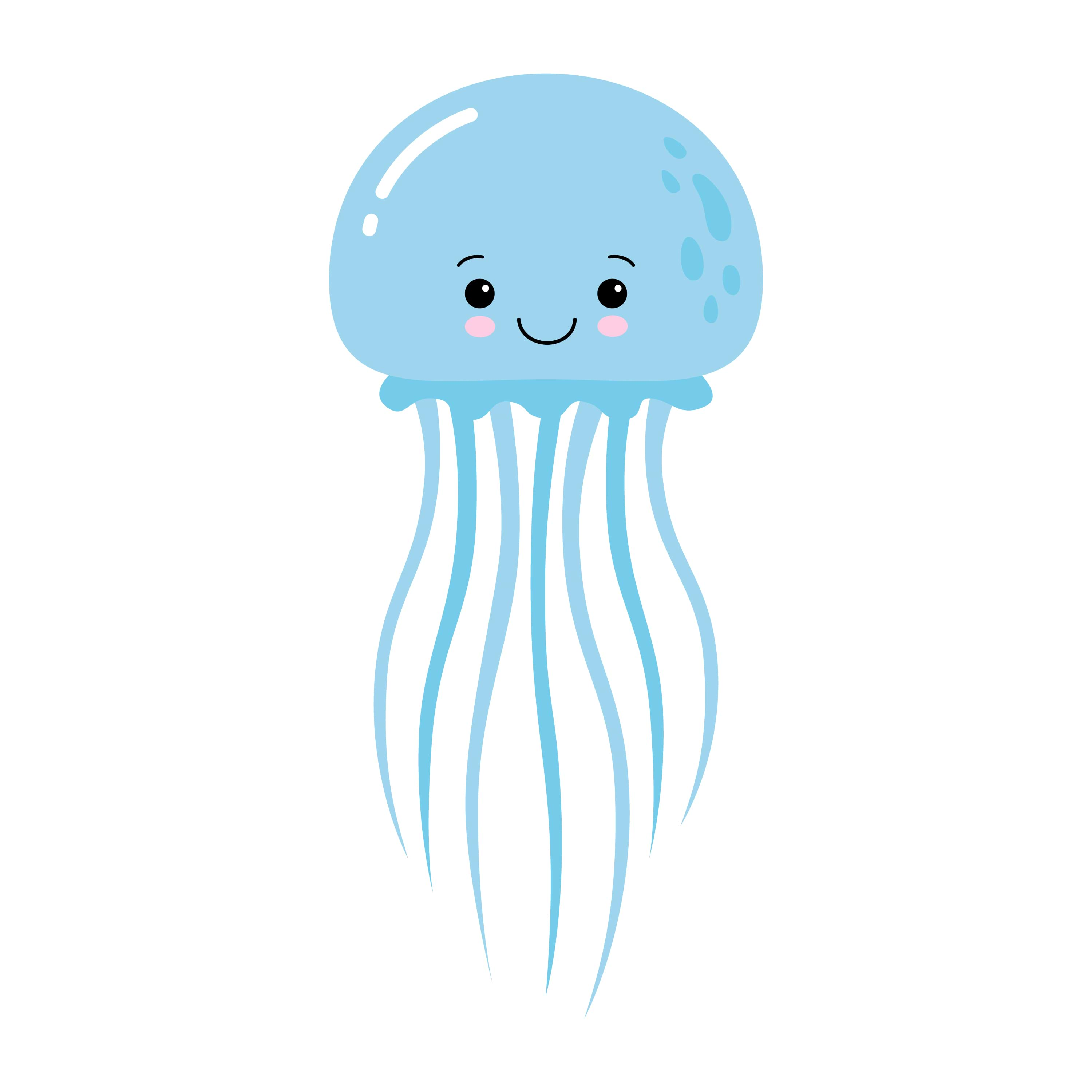 Jellyfish